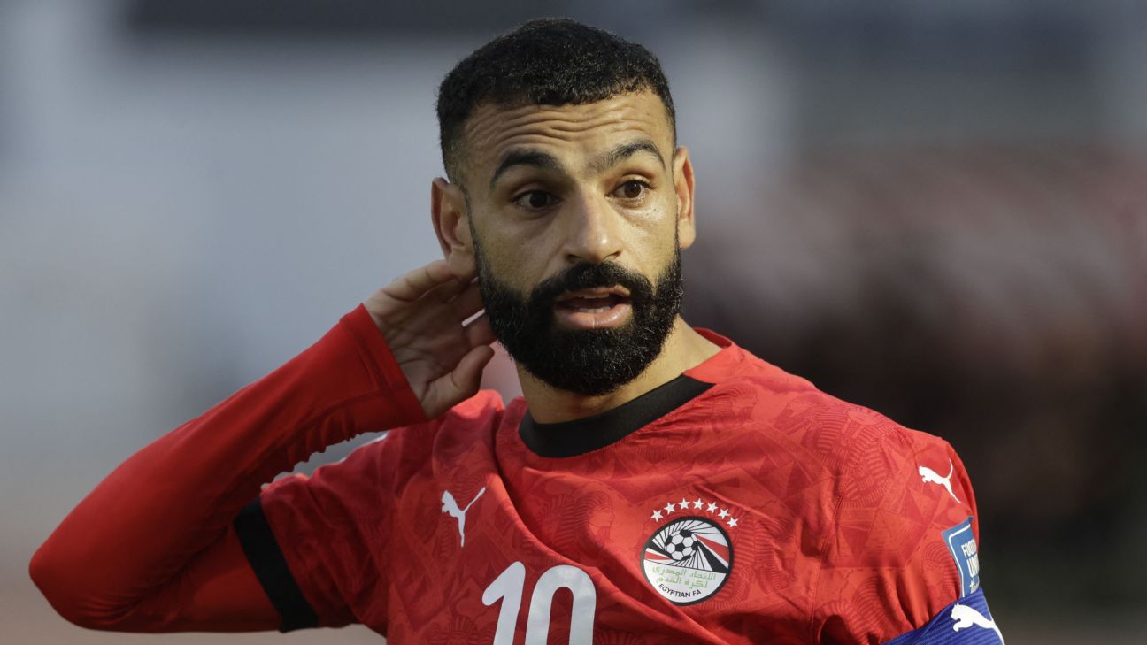 BY博业体育官网登录注册入口｜体育教学FIFA要求埃及世界杯球衣去掉七星图案并改号码颜色